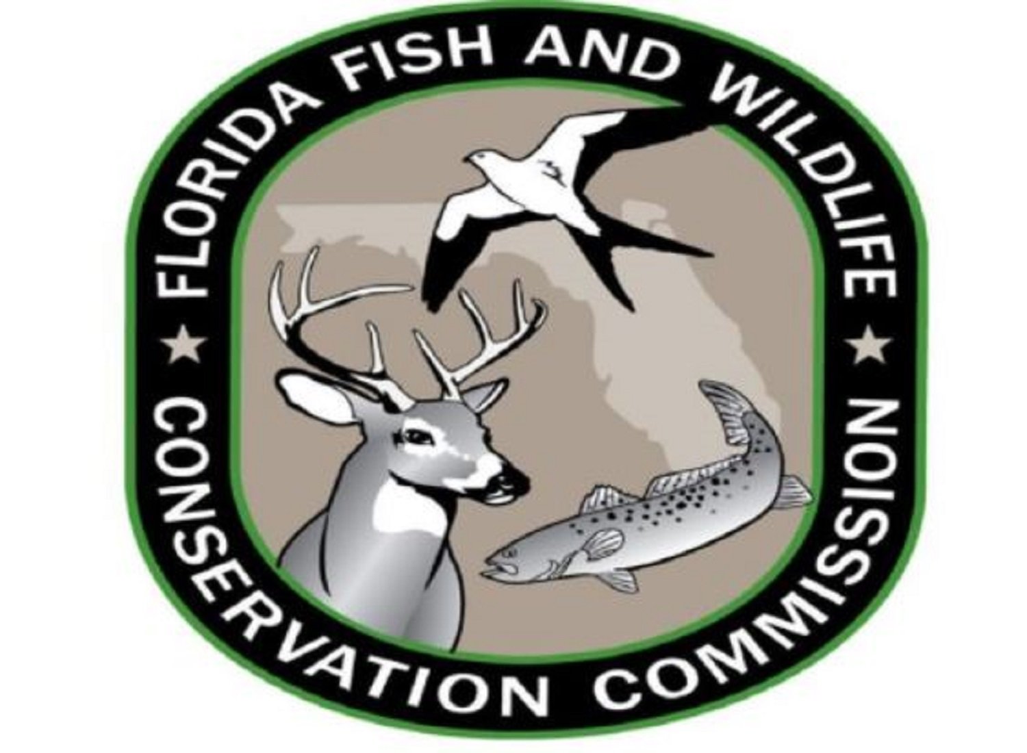 FWC Report Manatee Deaths Exceed Annual Record WNDB News Daytona 
